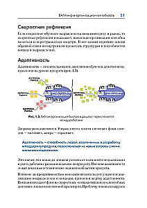 Design von Agile-Organisationen